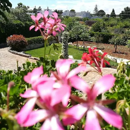 Casa Marisa Villa Castellana Grotte