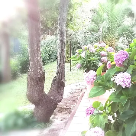 Casa Marisa Villa